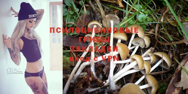 PSILOCYBIN Лиски