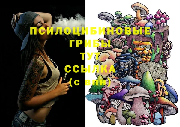 круглые Белокуриха