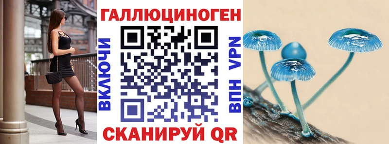 дарнет шоп  Эртиль  Галлюциногенные грибы Psilocybine cubensis 